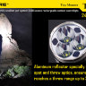 Фонарь Nitecore Tiny Monster TM15, 4x18650, 2450 люмен - Фонарь Nitecore Tiny Monster TM15, 4x18650, 2450 люмен