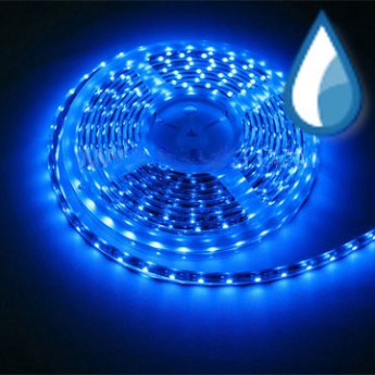 Светодиодная лента RISHANG LED SMD 3528, 60шт/м, IP64 (влагозащ.), синий Цена указана за: метр Применяемость: наружное освещение Световой поток: 270 Лм/м. Цвет свечения: синий