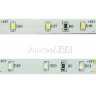 Лента светодиодная LED SMD 3014, IP33, 60 светодиодов в метре - Лента светодиодная LED SMD 3014, IP33, 60 светодиодов в метре