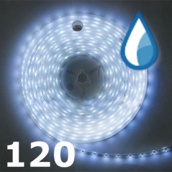 Светодиодная лента RISHANG LED SMD 3528, 120шт/м, IP64, белый Цена указана за: метр Применяемость: наружное освещение Световой поток: 436 Лм/м. Цвет свечения: белый