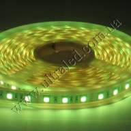 Лента светодиодная в защите TWF3-RGB, 60 светодиодов 5050 в метре (кратность резки 50мм.)