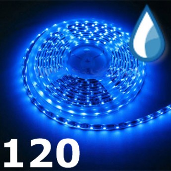 Светодиодная лента RISHANG LED SMD 3528, 120шт/м, IP64, синий Цена указана за: метр Применяемость: наружное освещение Световой поток: 405 Лм/м. Цвет свечения: синий