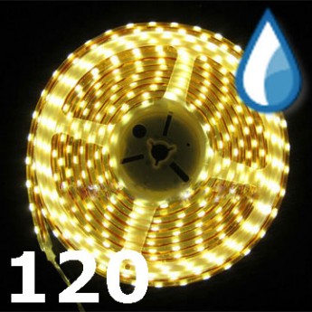 Светодиодная лента RISHANG LED SMD 3528, 120шт/м, IP64, желтый Цена указана за: метр Применяемость: наружное освещение Световой поток: 450 Лм/м. Цвет свечения: желтый