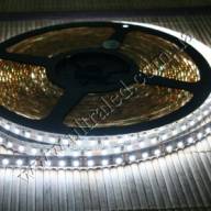 Лента светодиодная HID4-W, 120 светодиодов 3528 в метре (кратность резки 25мм.)