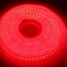 Светодиодная лента RISHANG LED SMD 3528, 120шт/м, IP67 (IP68), красный - led-strip-smd3528-120-IP68-red-2.jpg