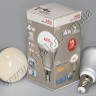 Лампа светодиодная SUNBRIDGE E14-TGS50-SC 4W (warm white) - E14-TGS60-SC_4W_425uc.jpg
